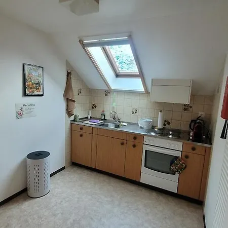 Apartment Ilfis Nr 1
