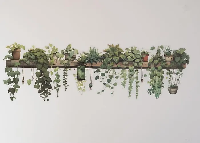 Ilfis Nr 1 Apartament